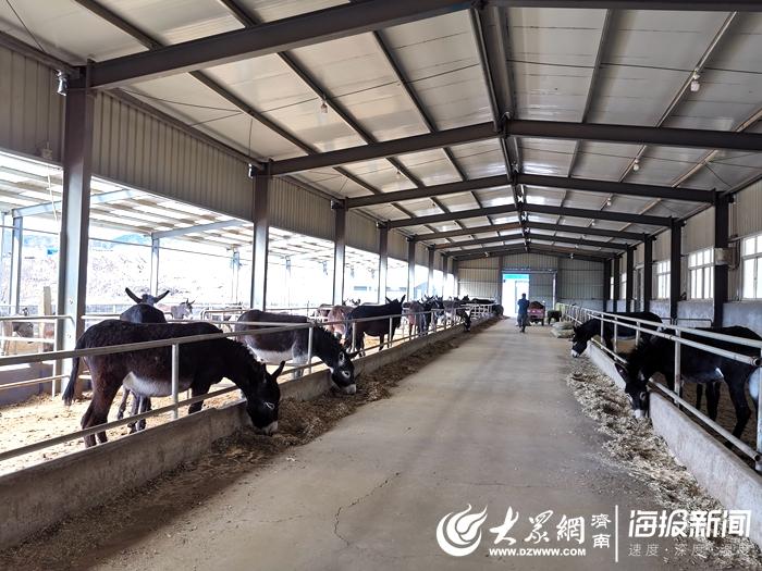 附近养驴基地截图2