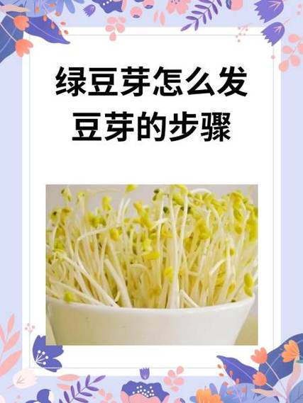 陈绿豆能生豆芽吗