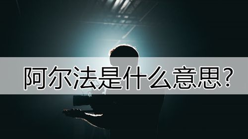阿尔法的意思
