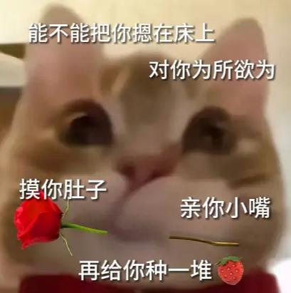给女朋友发的表情包