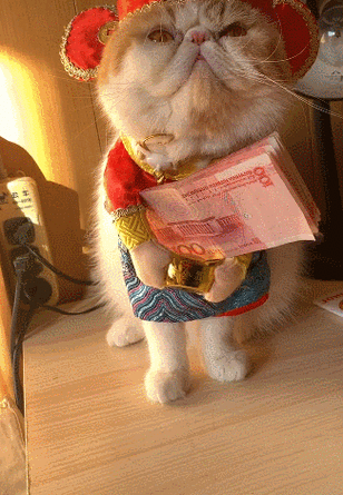 小猫玩赚钱