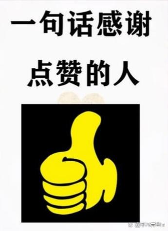 我点赞过的视频