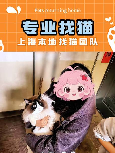 500以下的找猫团队截图2