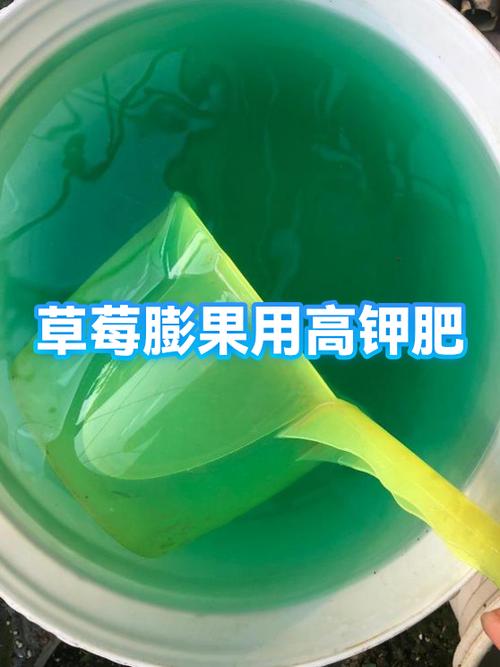 草莓膨果药什么时候打