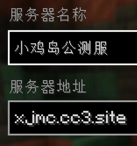 我的世界java版怎么开服务器