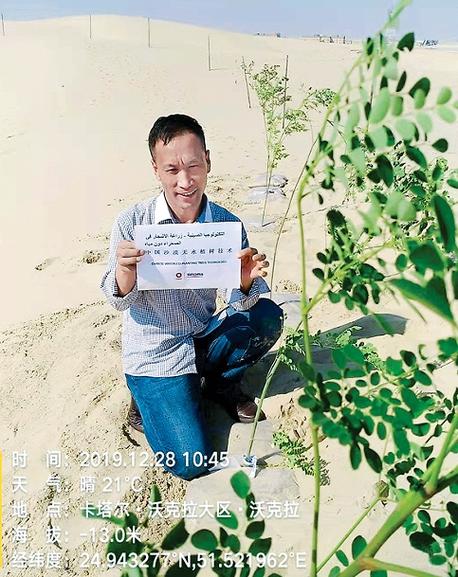 沙漠种树人的英雄人物