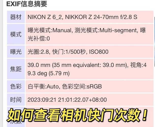 5d4快门次数怎么看