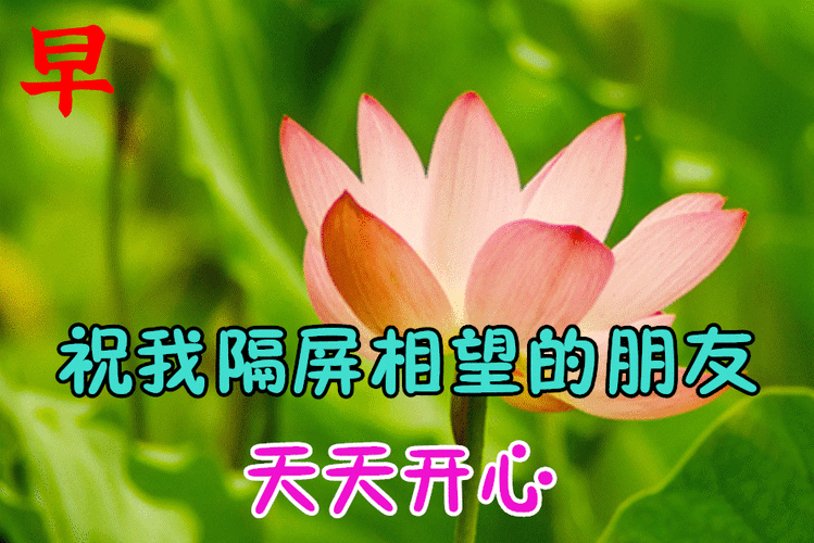 给我定一个明天早上
