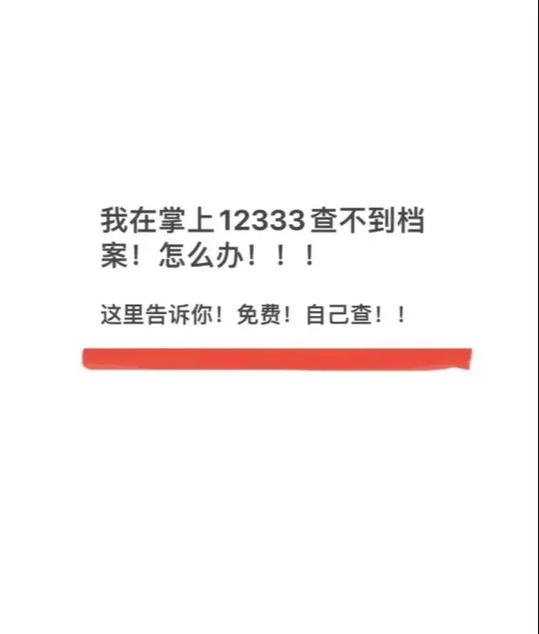 12333全国档案查询系统