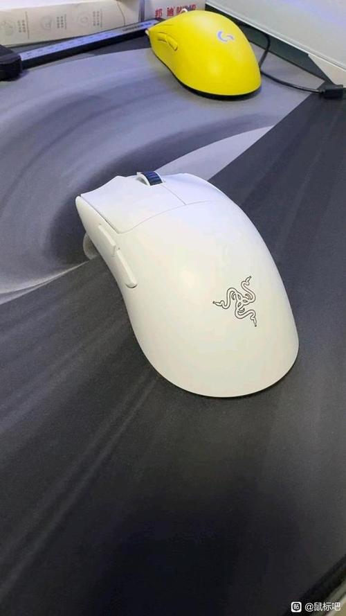 毒蝰哪个批次加高了