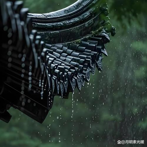 雨之霁要下哪个版本的