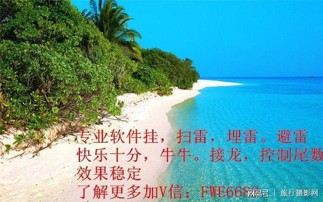 红包踩雷挂