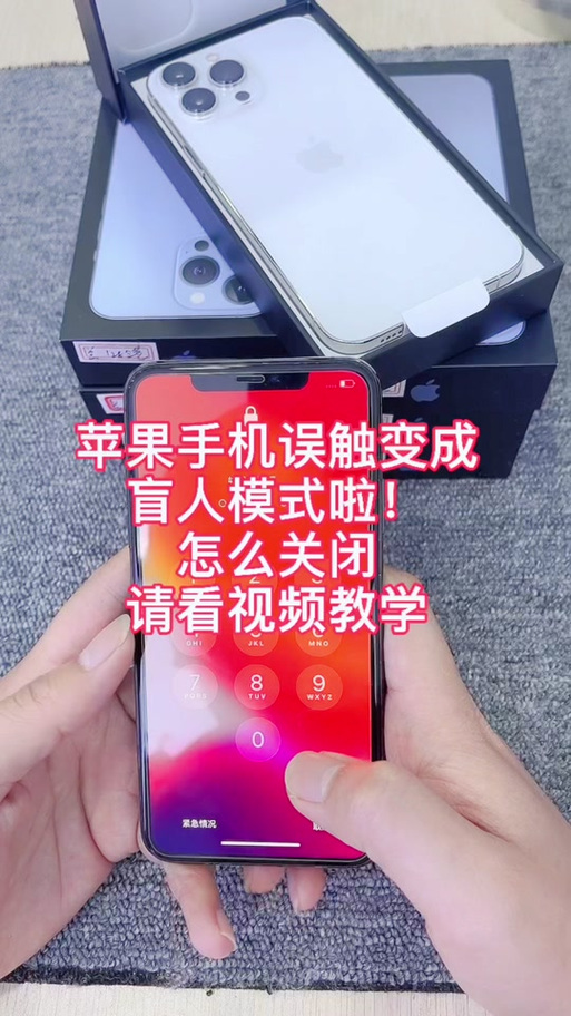 苹果13如何退出盲人模式截图3