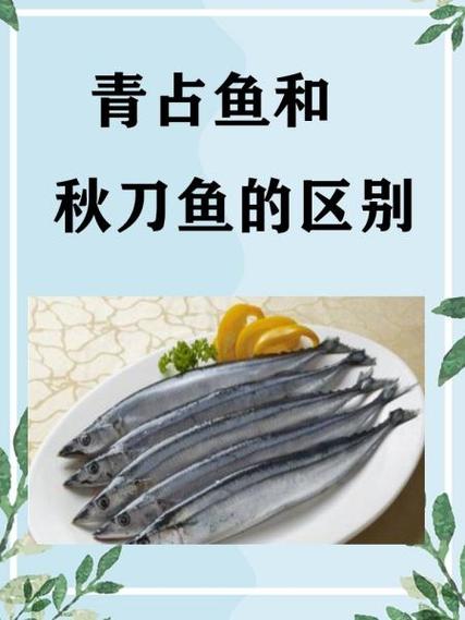 青花鱼为何要尽量少吃