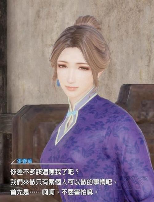 真三国无双8感情功能