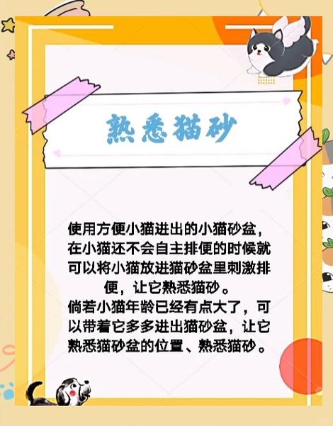 猫咪外出大小便怎么办