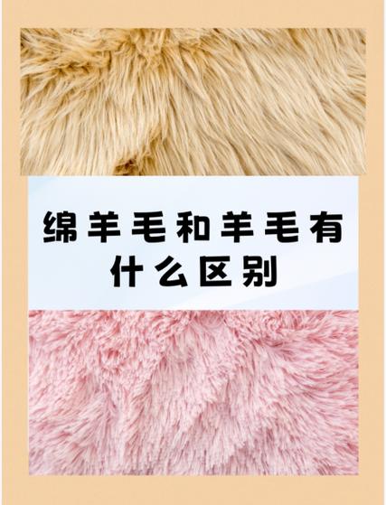 绵羊毛和全羊毛