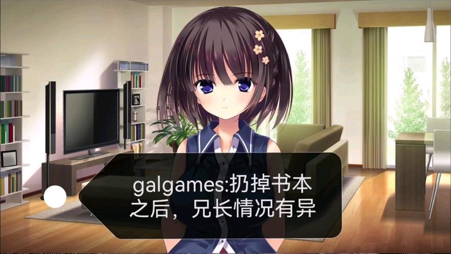 扔掉书之后兄长情况有异安卓