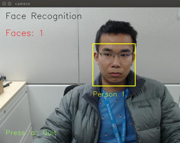 face和faces区别