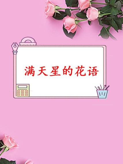 满天星的花语句子