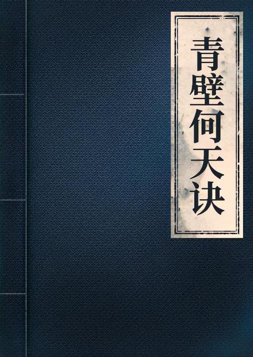 九阴真经青衣阁内功