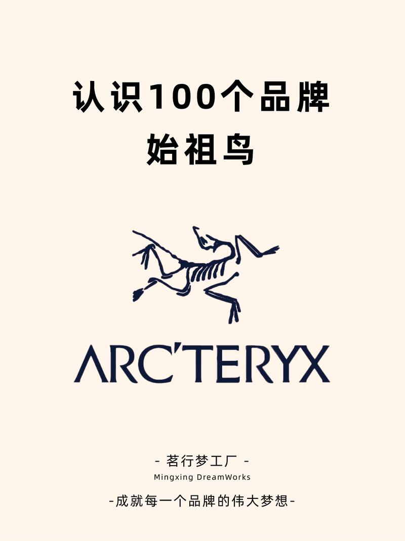 birdy官网正版