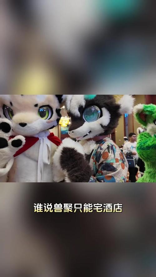 2026全国兽聚时间表截图2