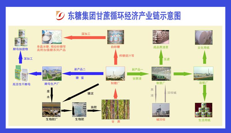 甘蔗产业链及政策