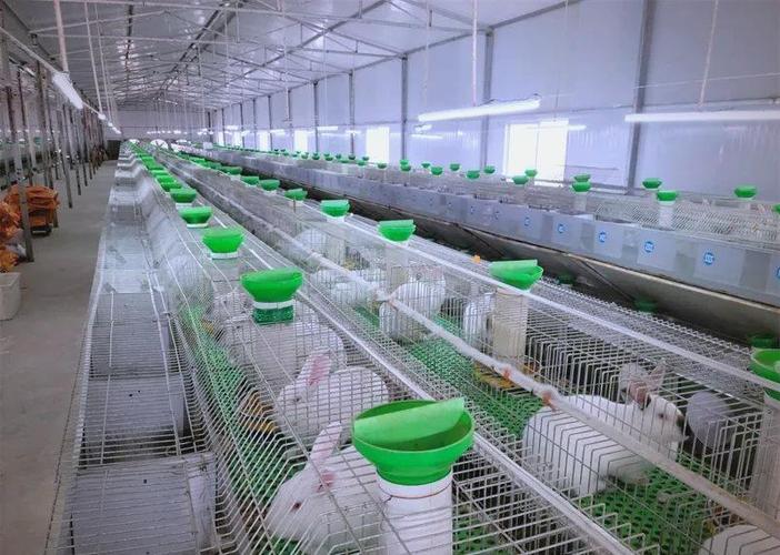 肉兔加工厂电话截图3