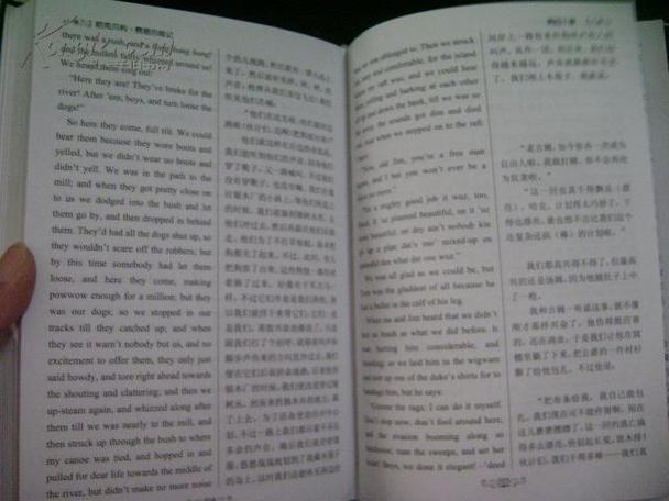 全译本是中文版吗