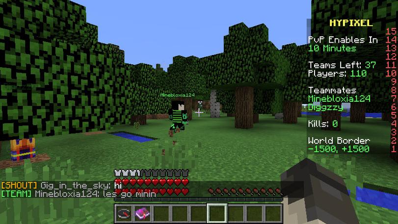 我的世界hypixel私聊指令截图3