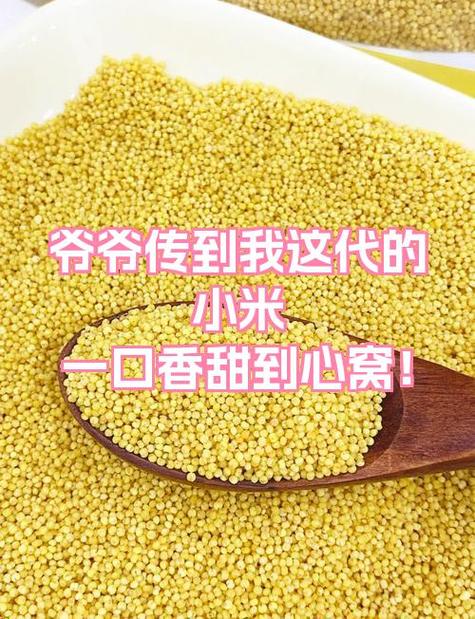 小米和爷爷简介