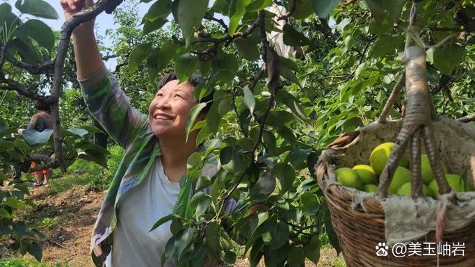 全国果农直销平台网