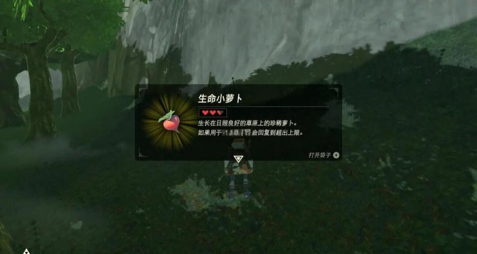 塞尔达大精灵之泉怎么激活
