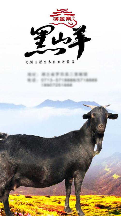 山羊广告图片大全