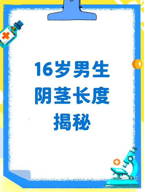 16岁小鸡正常标准