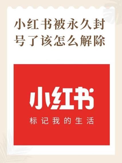 小红书禁言怎么解除截图3