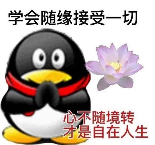 [综穿]女配的佛系人生截图2