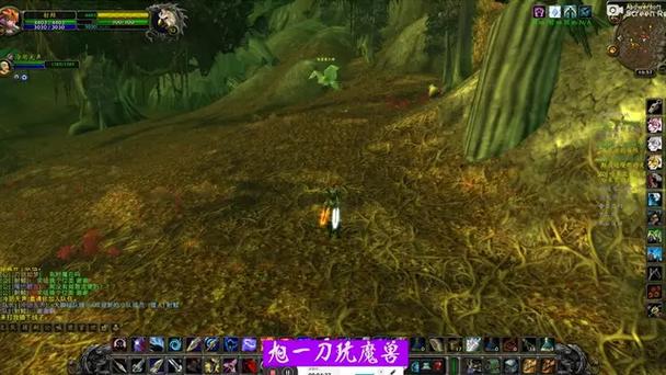 60怀旧服猎人猫头鹰推荐