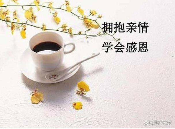 总感觉自己和家人不亲