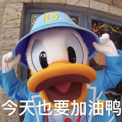 明天也要加油鸭 高清图