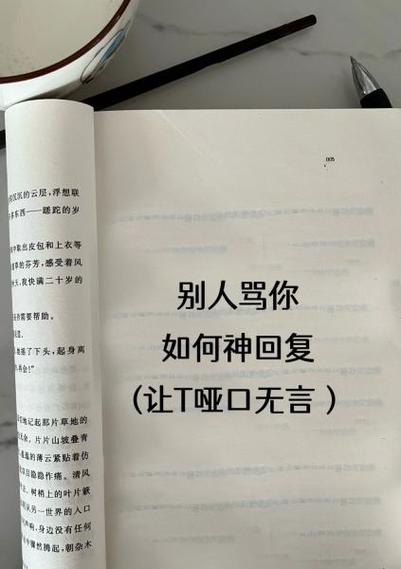 说你装怎么回复