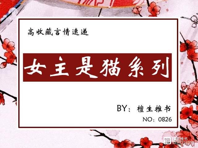 初云之初的小说截图3