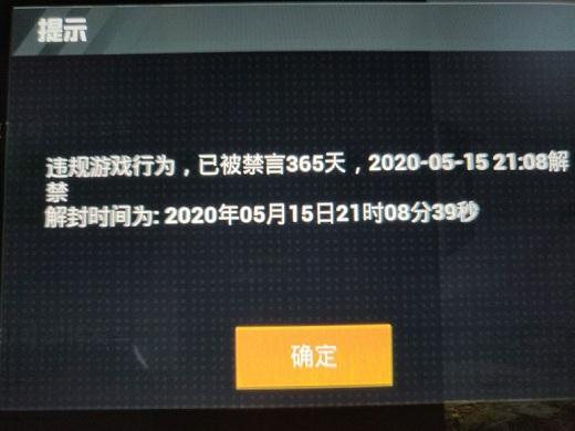 和平精英开局后听不到队友说话