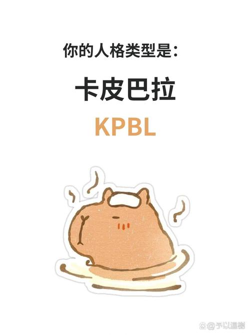 完美团巴拉介绍