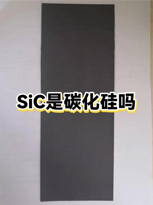 sic是什么的缩写