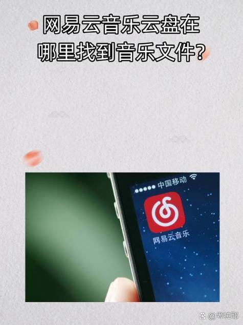 网易云下载音乐在本地找不到了