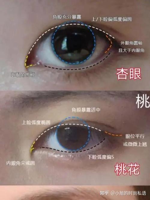 杏眼桃花眼