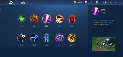 王者荣耀惩戒伤害怎么显示不了