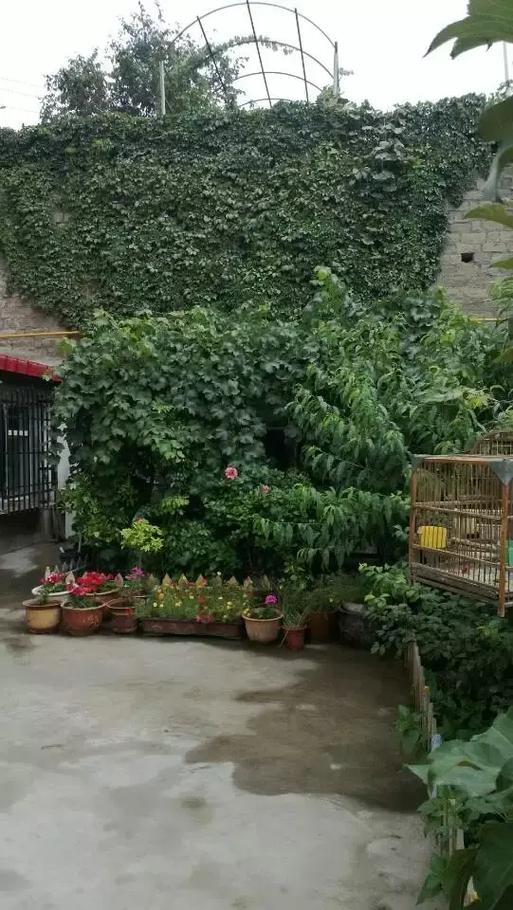 沈阳幸福山庄二手别墅